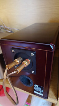 JVC EX A3 Wood cone - 6