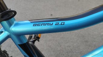 Detsky bicykel CTM Berry 2.0, 24” - 6