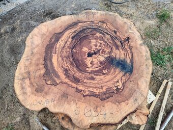 drevene koláče, priečne rezy - 6