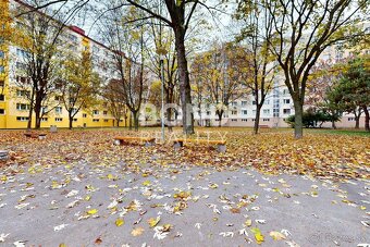 PRIPRAVUJEME, priestranný 4-izbový byt s lodžiou na začiatku - 6