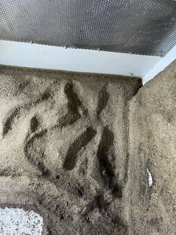 Terarium - 6