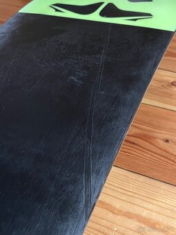 Rome Service Dog 153 - 6