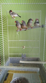 Predám zebričky - 6