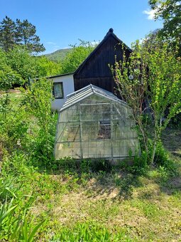 ZÁHRADA S CHATKOU A PIVNICOU pri Piešťanoch - 6