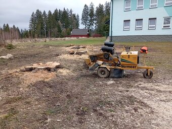 Frézovanie pňov, spiľovanie stromov - 6