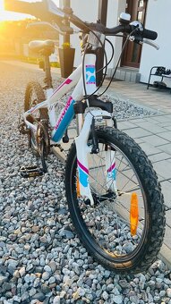 Kilimanjaro tec Jr20 - 6
