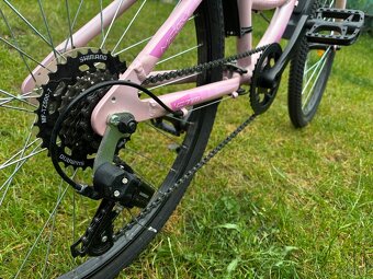 CTM Missy 24” - 6