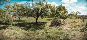 Záhrada s ovocnými stromami v Porube - 6