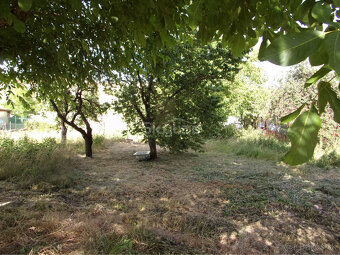 Exkluzívny predaj - vidiecky dom 90 m2, pozemok 4269 m2, Ded - 6