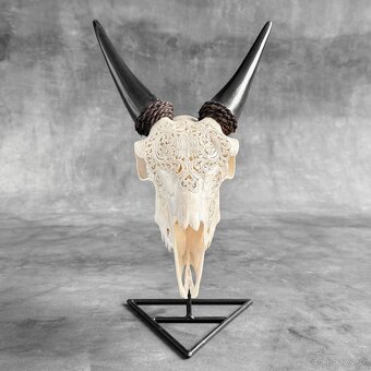 Autentická biela vyrezávaná lebka kozy - motív veľký lotos - 6