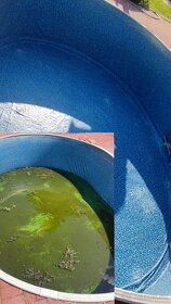 Údržba záhrad, kosenie, pílenie - 6