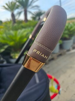 Cybex Priam Rosegold Black + Spring Blossom 2020 - 6