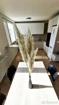 Predáme moderný 3 izb. byt, ul.Obrody, KE-sidl.Terasa - 6
