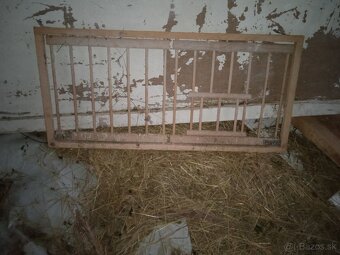 Predám budniky,sedaky,výstavné klietky krmitka pre holuby - 6