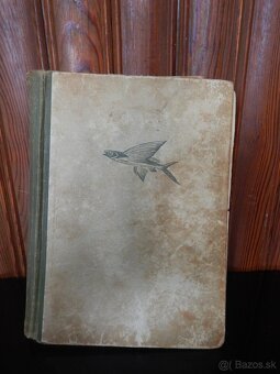Jules Verne, 4 staršie vydania, od r. 1952 - 6