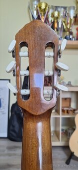 Schneider guitar akustika - 6