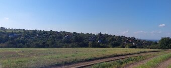 Na predaj široký pozemok v Skalici - 6