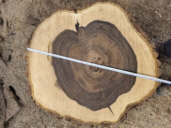 Orechové kolieska - 6