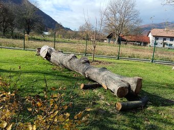 Predaj Orechové drevo - 6