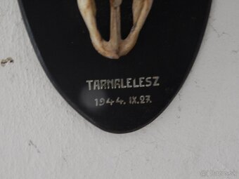 stará trofej - 6