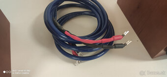 Audio Physic Yara II Compact - 6