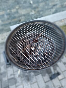 Weber grill - 6