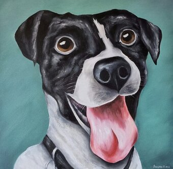 Jack Russell – Šťastný Psík na Plátne 50х50 - 6