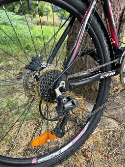 bicykel CTM Terrano 4.0 - 6