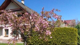 Ponúkame krásny rodinný dom na Kordíkoch - 15min od centra m - 6