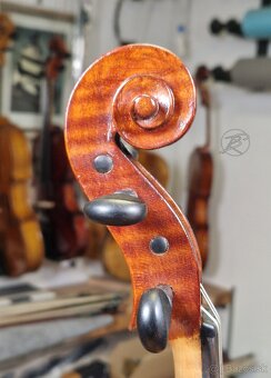 Viola 39 cm - 6