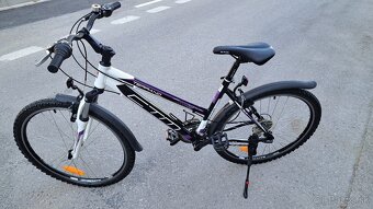 CTM TERRANO - 6