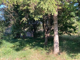Záhradka Poprad - Matejovce - 6