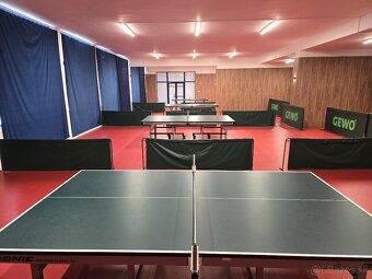 Stolný tenis - 6