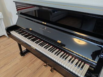 Steinway and Sons. Najvyššia celosvetová kvalita - 6
