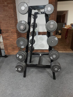 Bicepsová osa pevná váha- rovná, EZ - 6