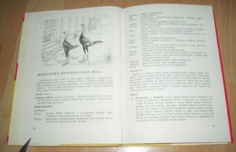Plemená drubeže - 6