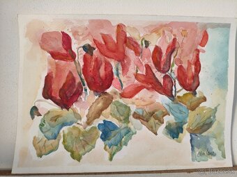 Rôzne obrazy a obrazky - 6