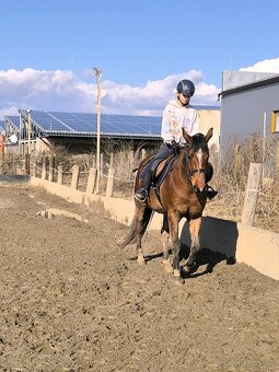 Jazdenie na koni - 6
