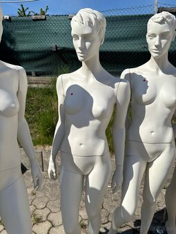 Figurína dámska a pánska - živá veľkosť, torzo, do výkladu - 6