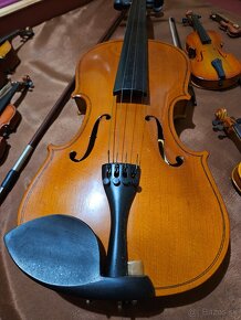Obraz z husli - 6