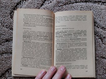 Chemie na zahrádce - Zakopal - 6