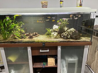 Akvarium 150x50x50 - 6