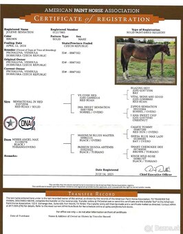 SLEVA, All around klisna APH (VS CodeRed) - 6