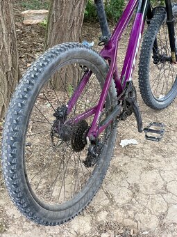 Ctm Raptor 1.0 2022 - 6