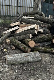 Palivové drevo štiepane aj dovoz - 6
