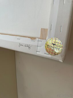 ZNIZENA CENA obraz grafika Michalovic - 6