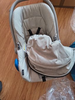 Roan coss - 6
