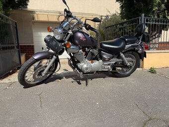 yamaha virago 250 - 6