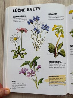 Priateľ lesa - Príručka mladého skauta - 6