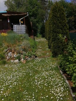 Udržiavaná záhrada s chatkou nad Bagroviskom – 448 m² - 6